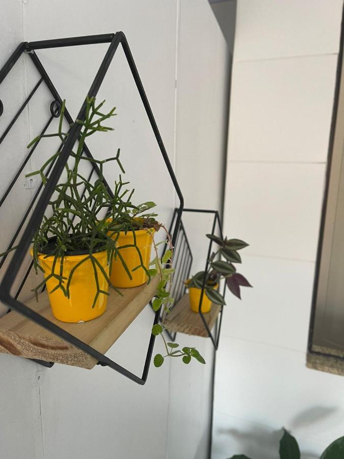 Hospedagem Confortavel E Pratica Para Viajantes E Ferias - Proxima A Br-101 Sao Jose  Eksteriør billede